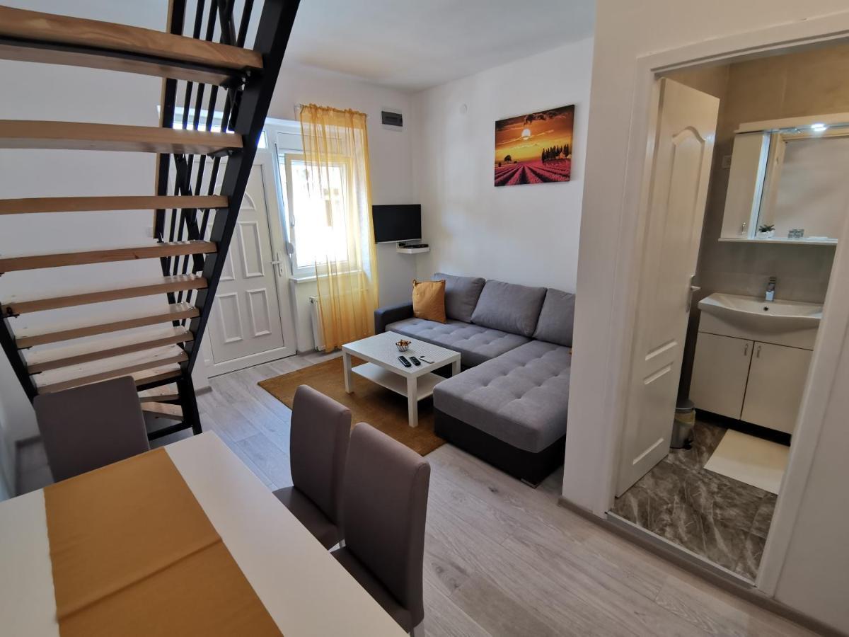 Ris Lägenhet Novi Sad